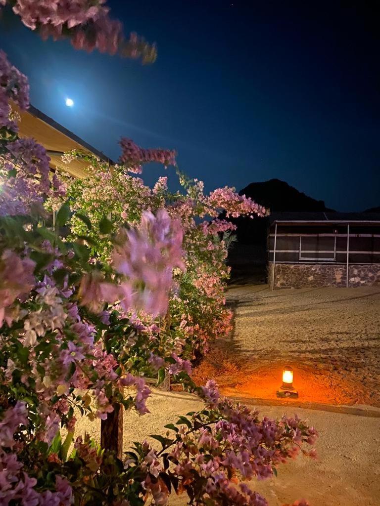 Moon Night Camp Hotell Wadi Rum Exteriör bild