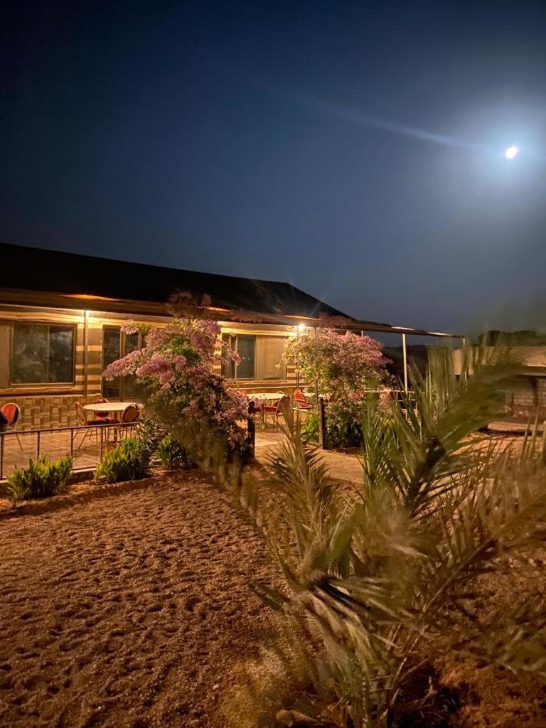 Moon Night Camp Hotell Wadi Rum Exteriör bild