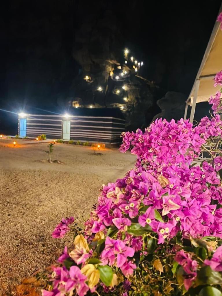 Moon Night Camp Hotell Wadi Rum Exteriör bild